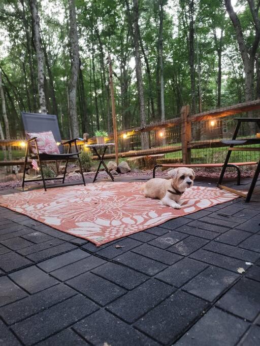 3 Bedroom Pet Friendly, Fireplace, Hot Tub, Near Albrightsville